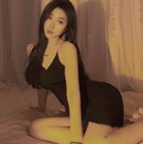 内容